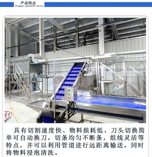 薯條水刀切條機 馬鈴薯水力切刀薯條生產