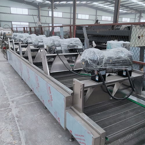 桑葚山楂多次翻轉(zhuǎn)瀝水風干機設備