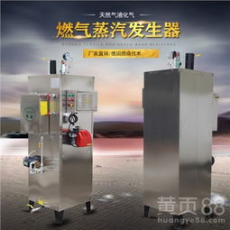 水洗廠專用設(shè)備立式天然氣蒸汽發(fā)生器